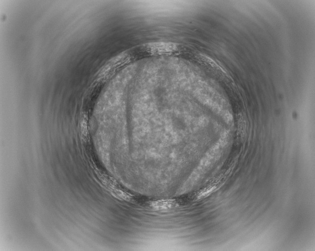 X0000057070761200510071432