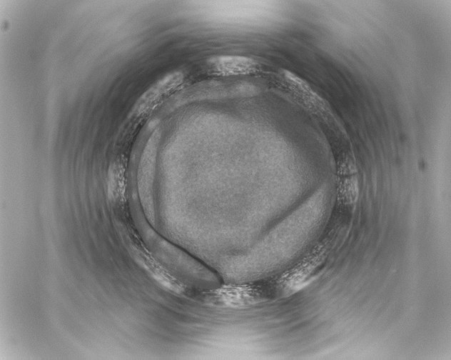 X0000057070762200510071432