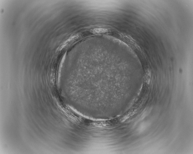 X0000057070763200510071432