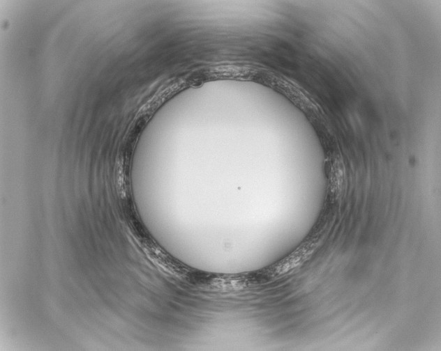 X0000057070764200510071432