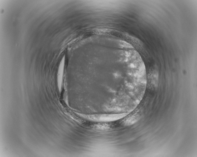 X0000057070765200510071432