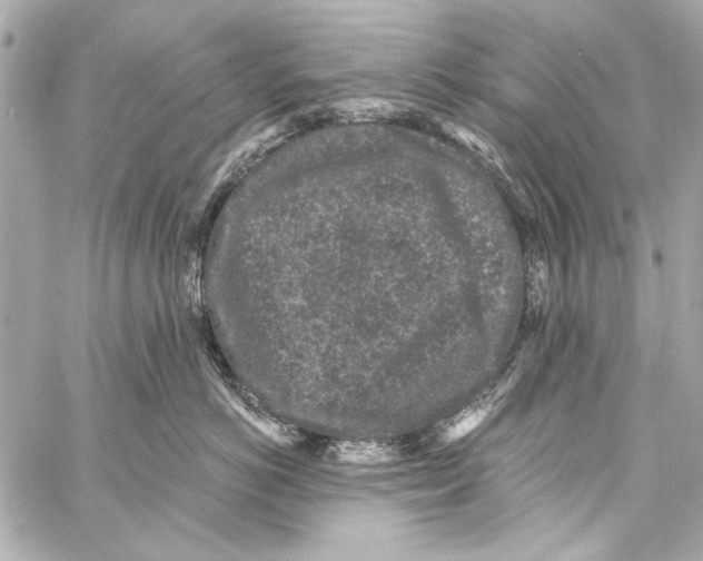 X0000057070766200510071432