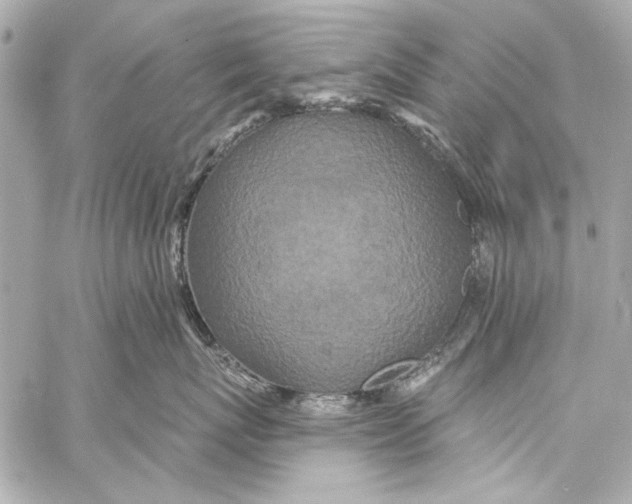 X0000057070767200510071432