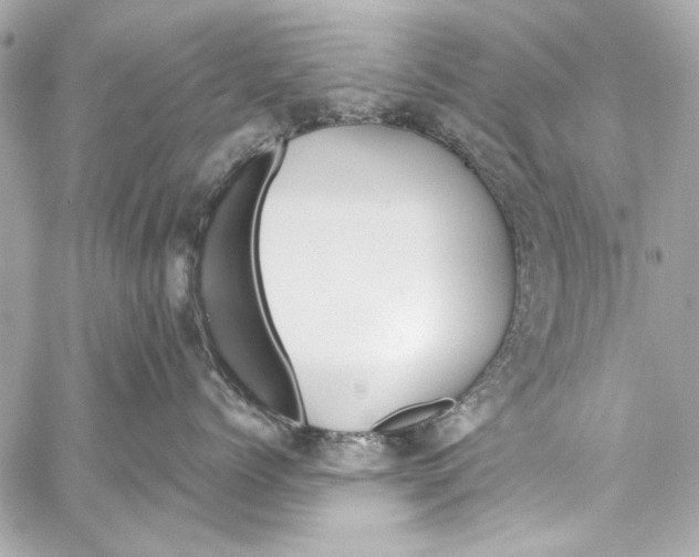 X0000057070768200510071432