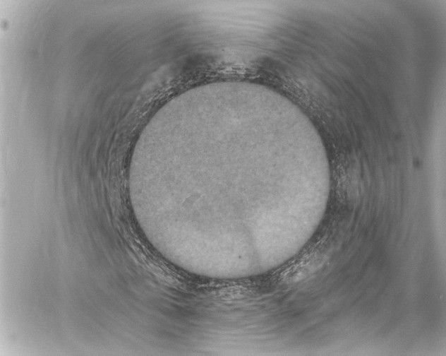 X0000057070769200510071431