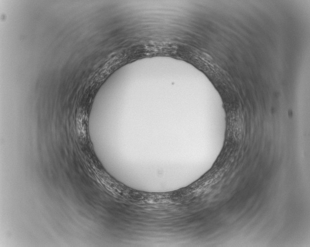 X0000057070770200510071431