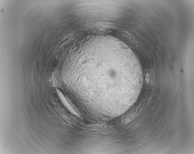 X0000057070771200510071431