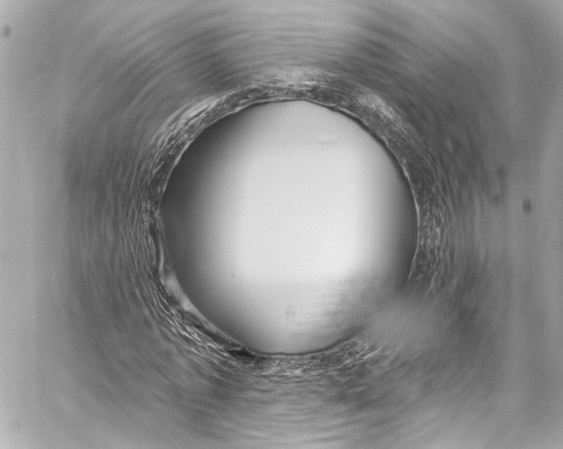 X0000057070773200510071431