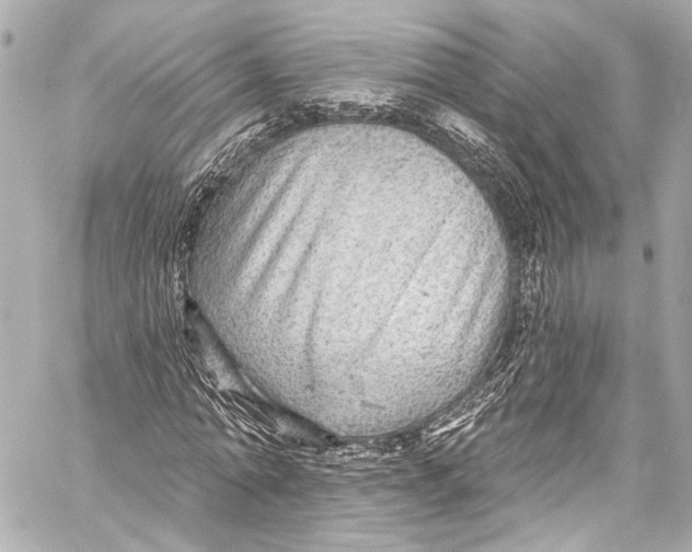 X0000057070774200510071431