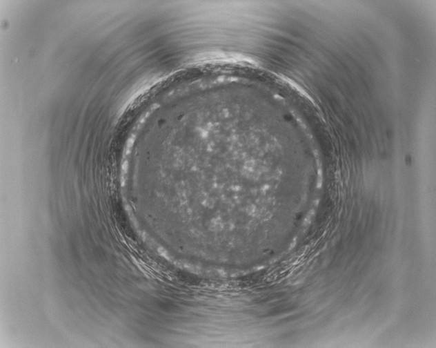 X0000057070775200510071431