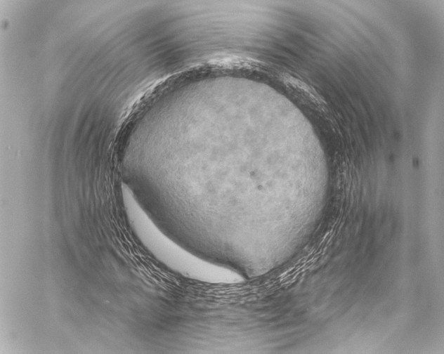 X0000057070776200510071431