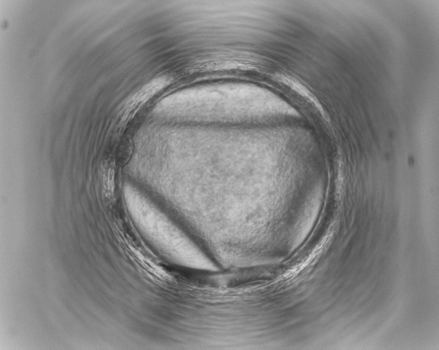 X0000057070777200510071431