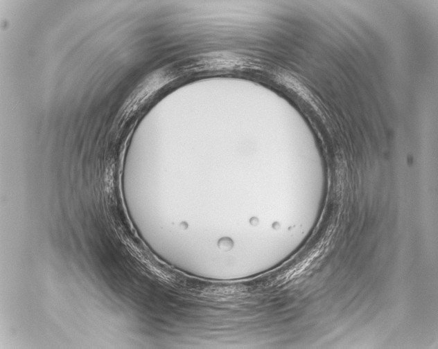 X0000057070778200510071431