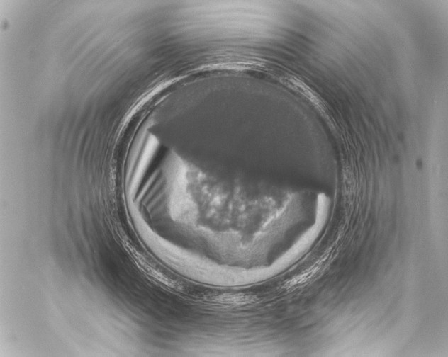 X0000057070779200510071431