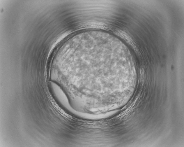 X0000057070780200510071431