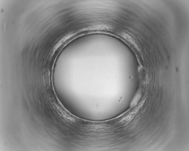 X0000057070781200510071431