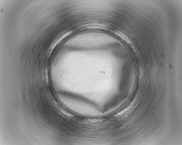 X0000057070782200510071431