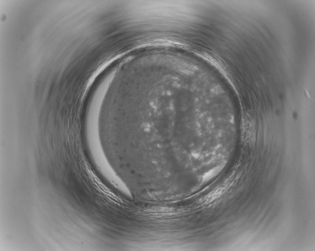 X0000057070783200510071431