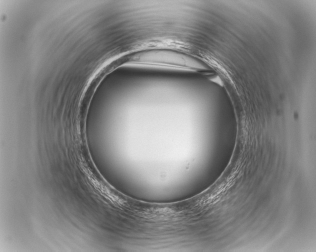 X0000057070784200510071431