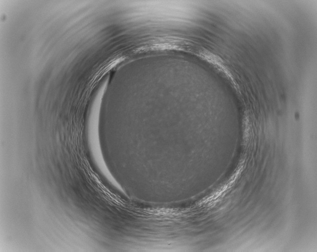 X0000057070785200510071431