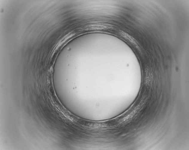 X0000057070786200510071431