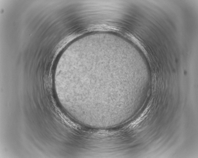 X0000057070787200510071431