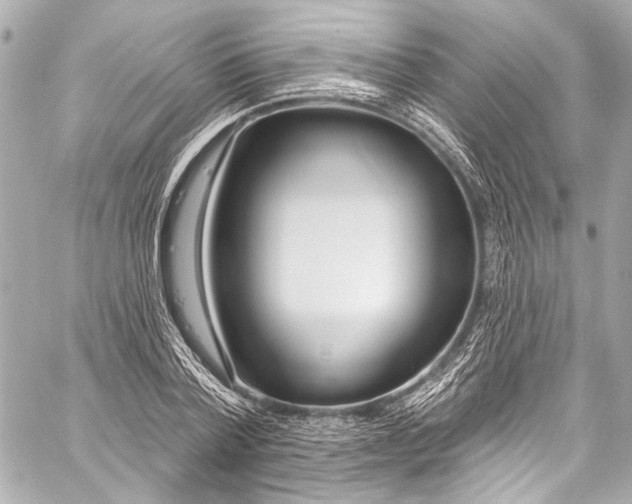 X0000057070788200510071431