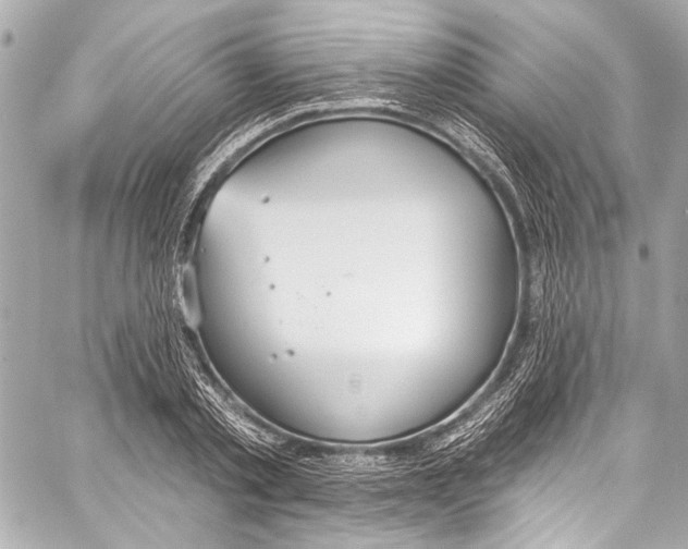 X0000057070789200510071431