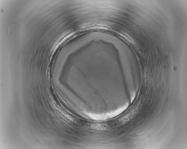 X0000057070790200510071431