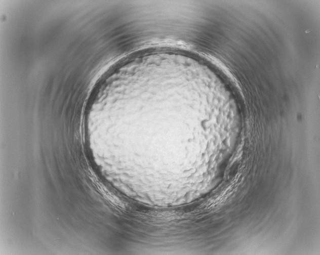 X0000057070791200510071431