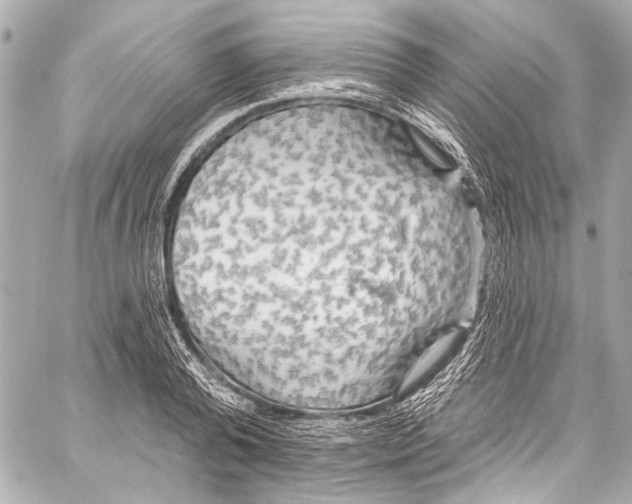 X0000057070792200510071431