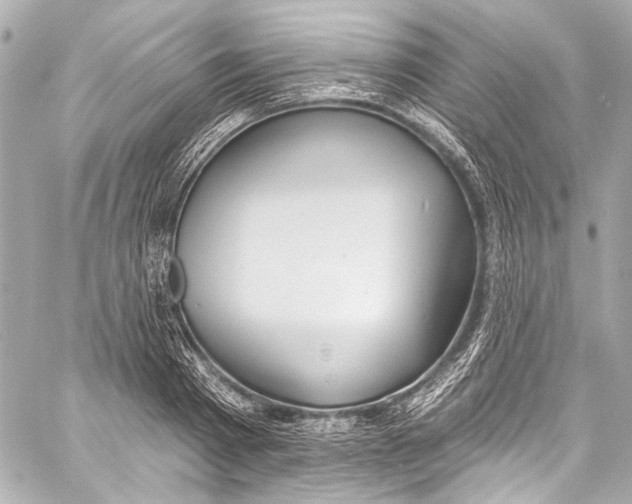 X0000057070793200510071431