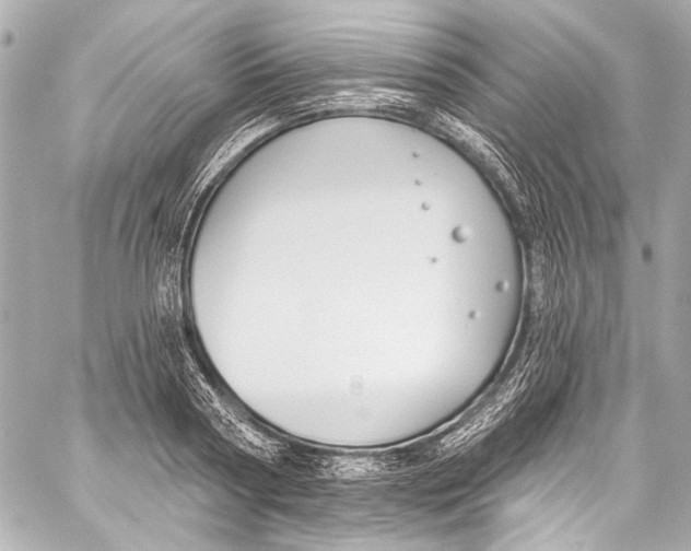 X0000057070794200510071431