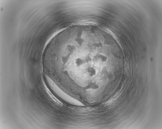 X0000057070795200510071431