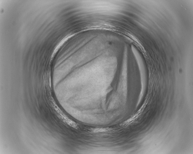 X0000057070796200510071431