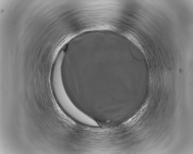 X0000057070797200510071431