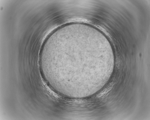 X0000057070799200510071431