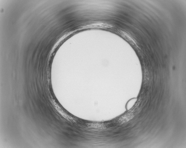 X0000057070800200510071431