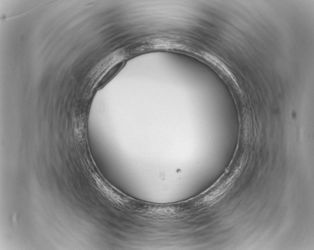 X0000057070801200510071431