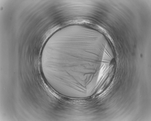 X0000057070802200510071431