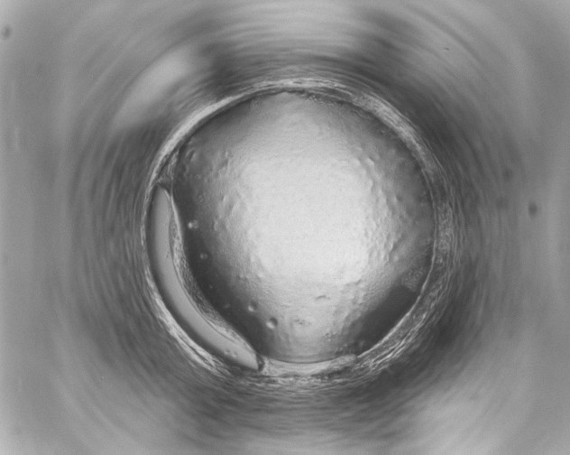 X0000057070803200510071431