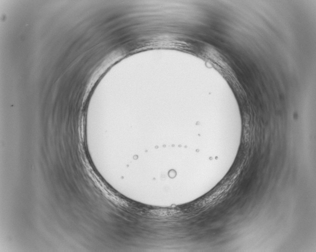 X0000057070804200510071431