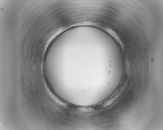 X0000057070805200510071431