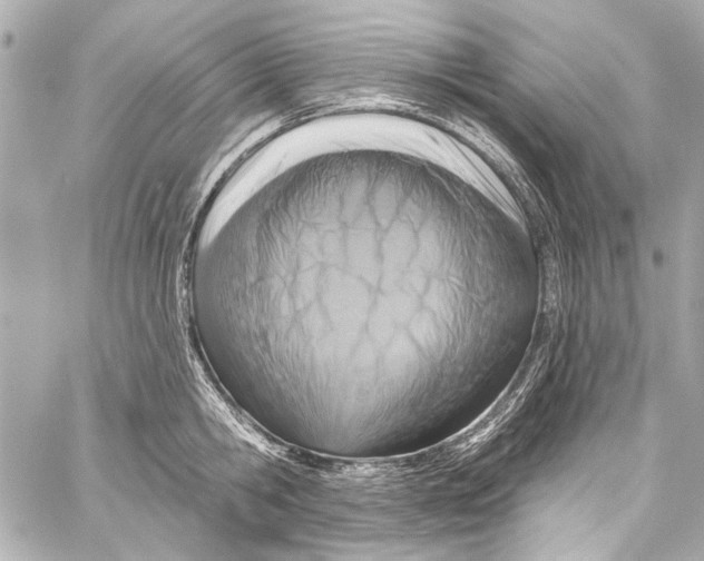 X0000057070806200510071431