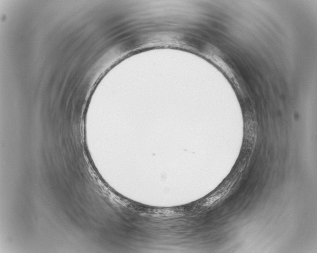 X0000057070807200510071431