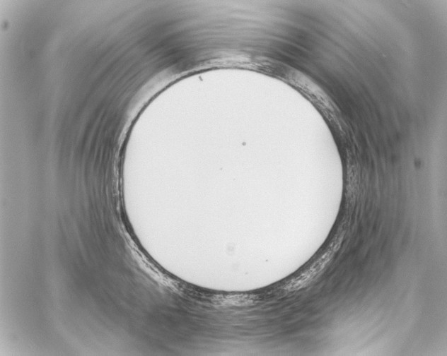 X0000057070808200510071431