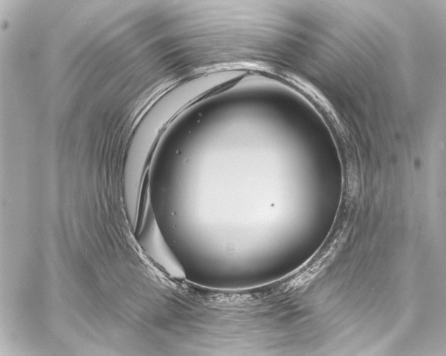 X0000057070809200510071431