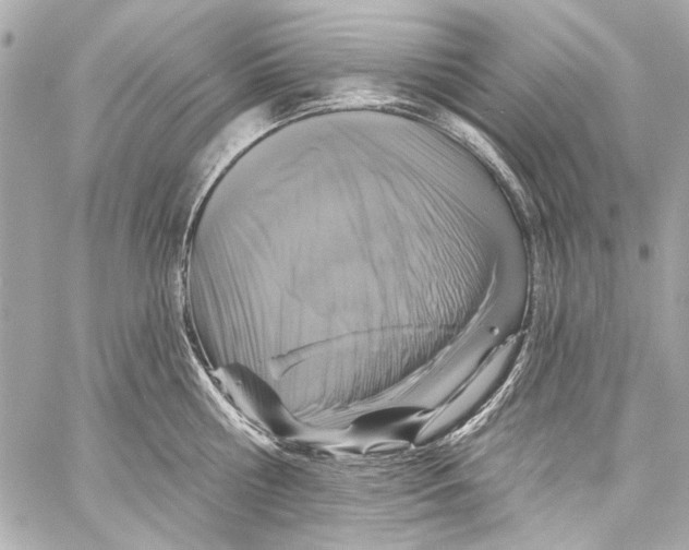 X0000057070810200510071431