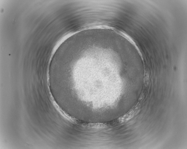 X0000057070811200510071431