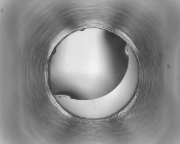 X0000057070812200510071431